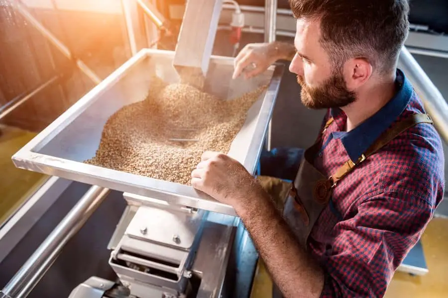 Young brewer in a leather apron controls the grinding of malt seeds in a mill at a modern brewery