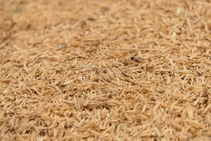 An image of rice use hull to use in mash