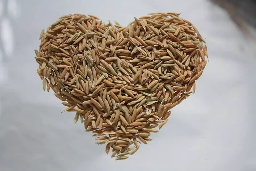 An image of a rice hulls in a shape of a heart