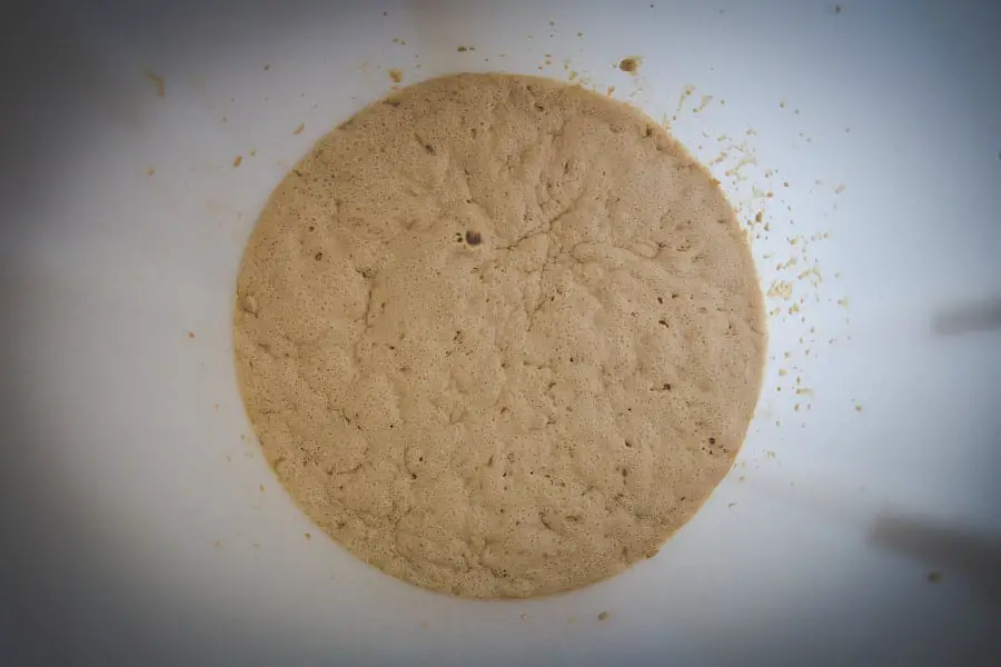An image of a yeast in a beer