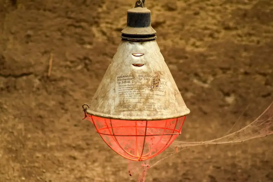 An image of a heat lamp