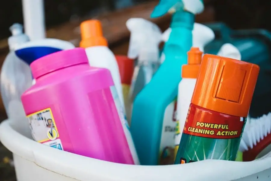 An image of cleaning supplies in a bucket