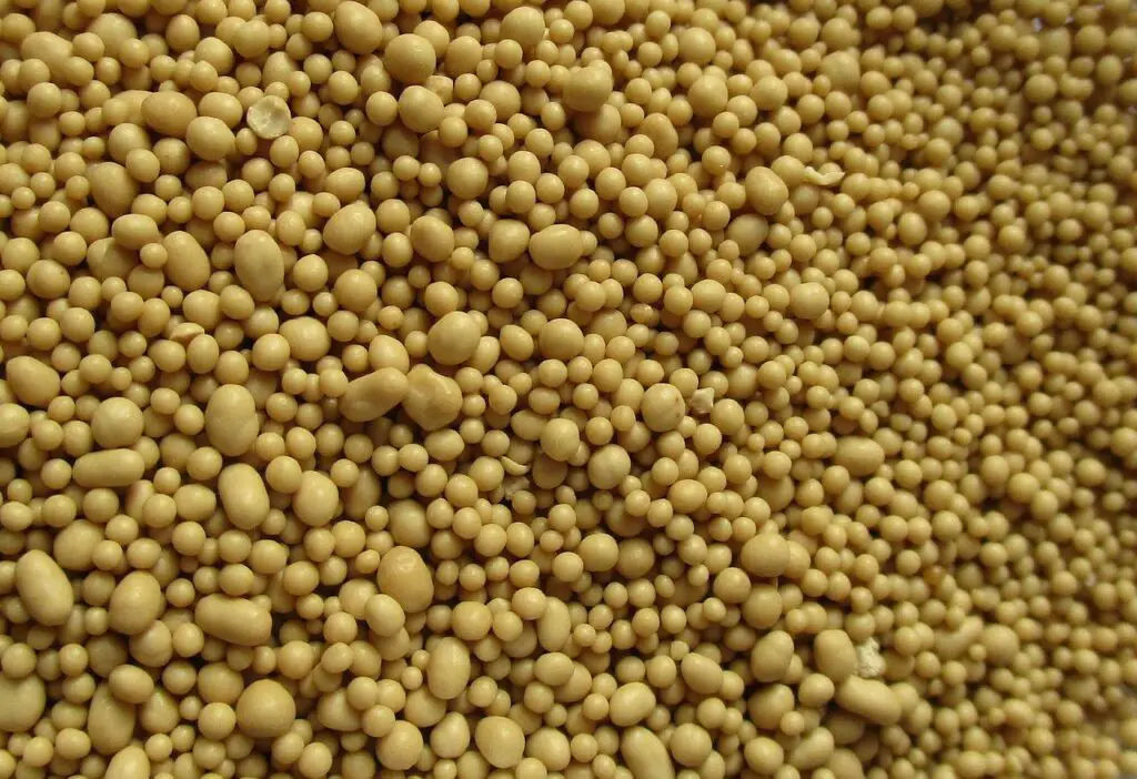 An image of brewer's yeast