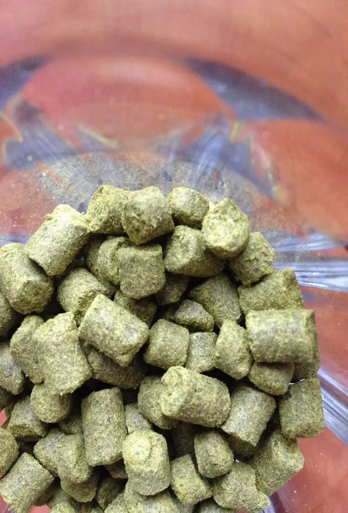 Beer hops pellet granules are placed in a clear bowl on a blue and red surface