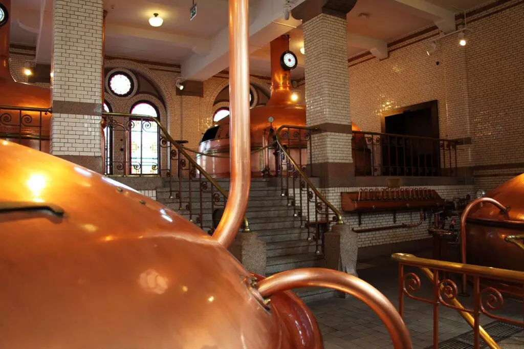 Four copper brew kettles are used for brewing beer inside a well-lit brewery