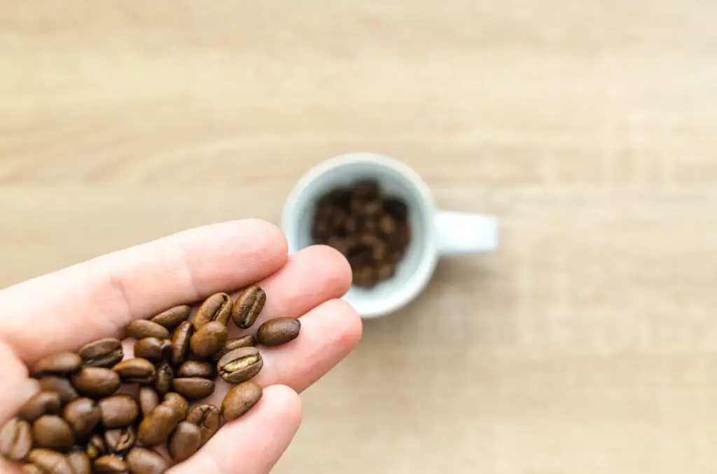 A person holding fresh coffee beans and a small white mug filled with coffee beans